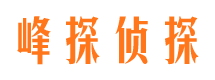 靖州调查事务所